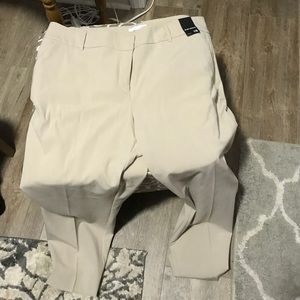 Khaki Capris